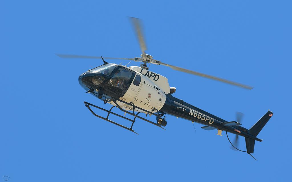 LAPD AS 350 B2 (Heroes2012)