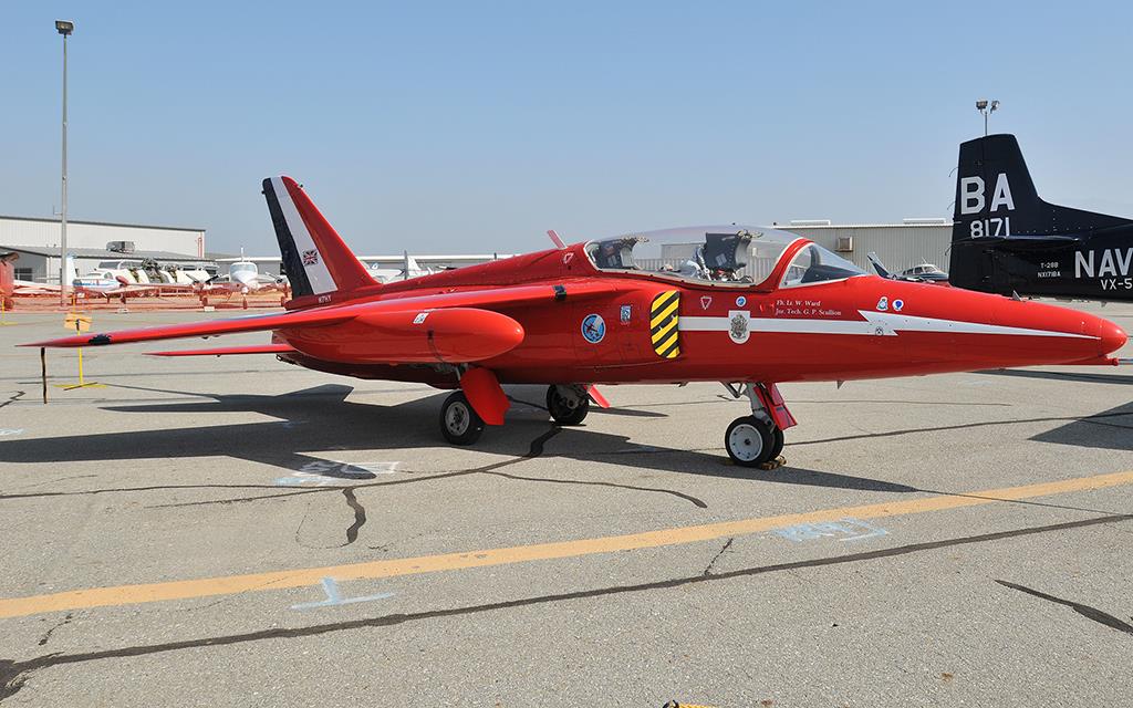 Gnat T1-01