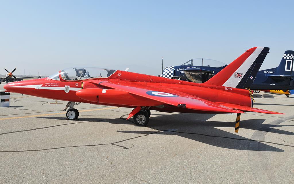 Gnat T1-02