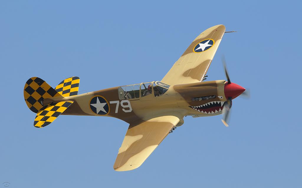 P-40 Warhawk (Chino2012)