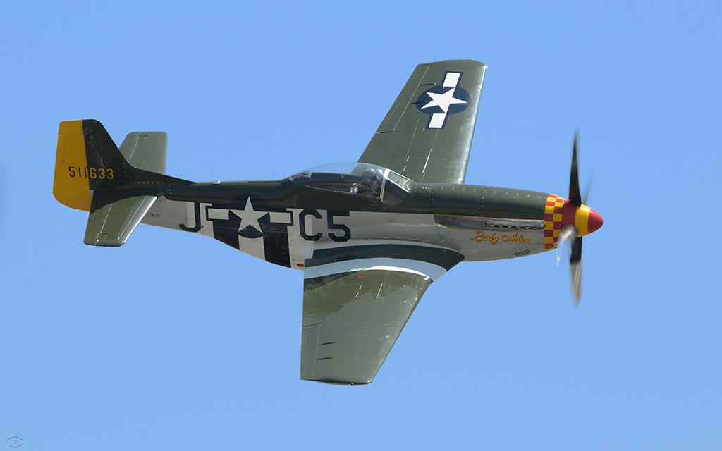 P-51 Mustang (Chino2012)-03