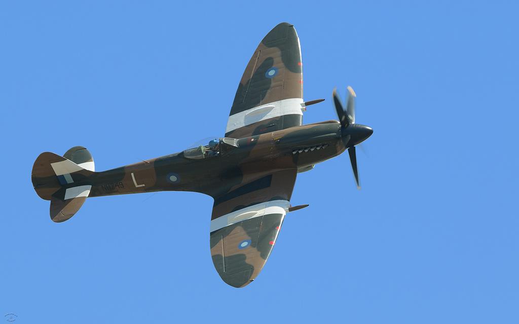 Spitfire (Chino2012)-01