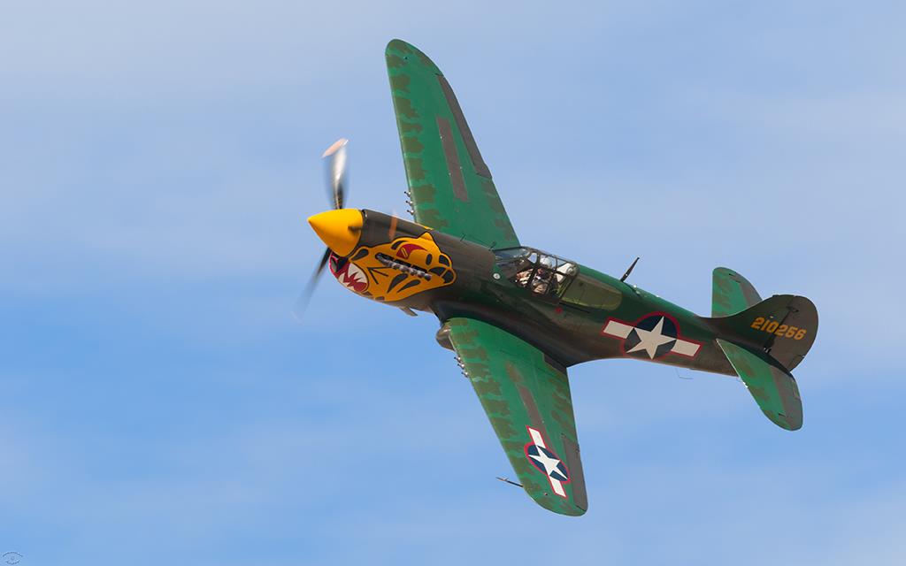 P-40 Warhawk (KWJF_2016)-04