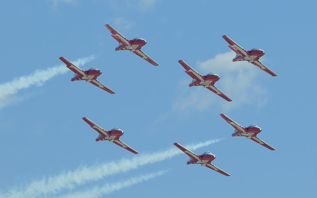 Snowbirds-03