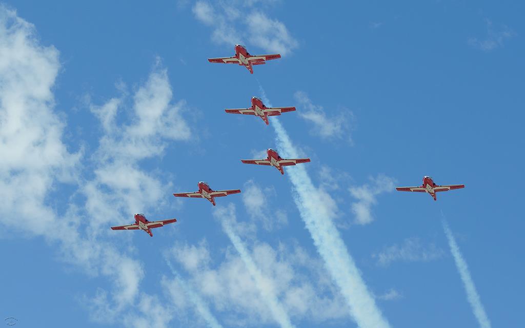 Snowbirds-07