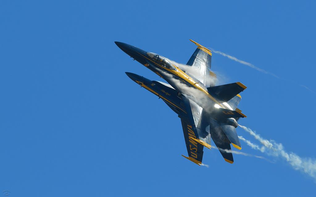 Blue Angels (Miramar2012)-08