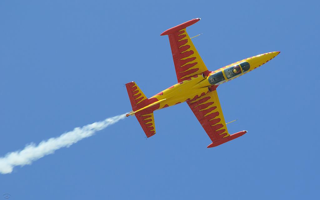 L-39 Firecat-01