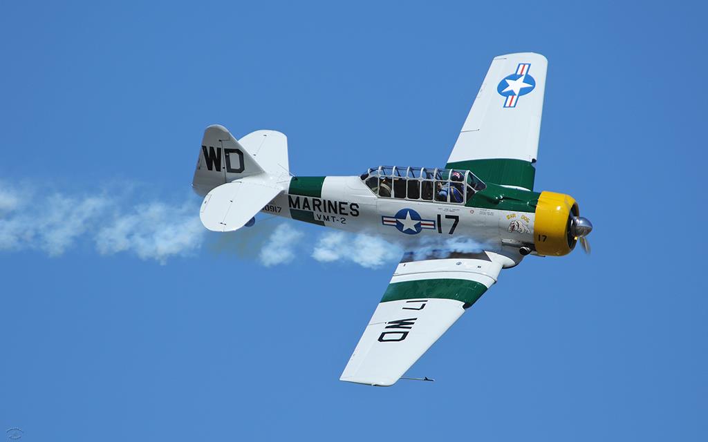 SNJ-5 Texan-02