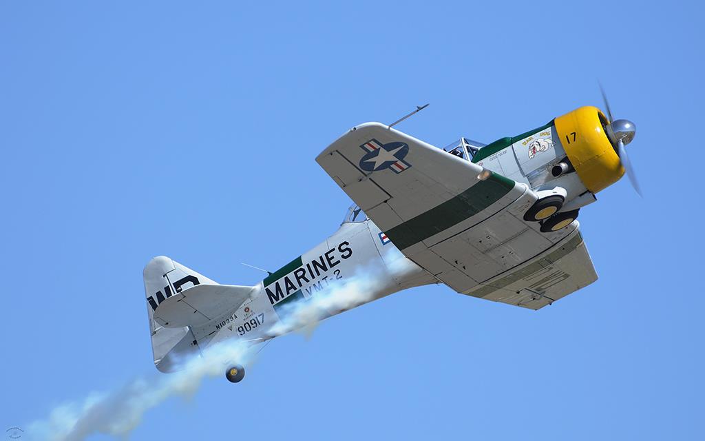 SNJ-5 Texan-05