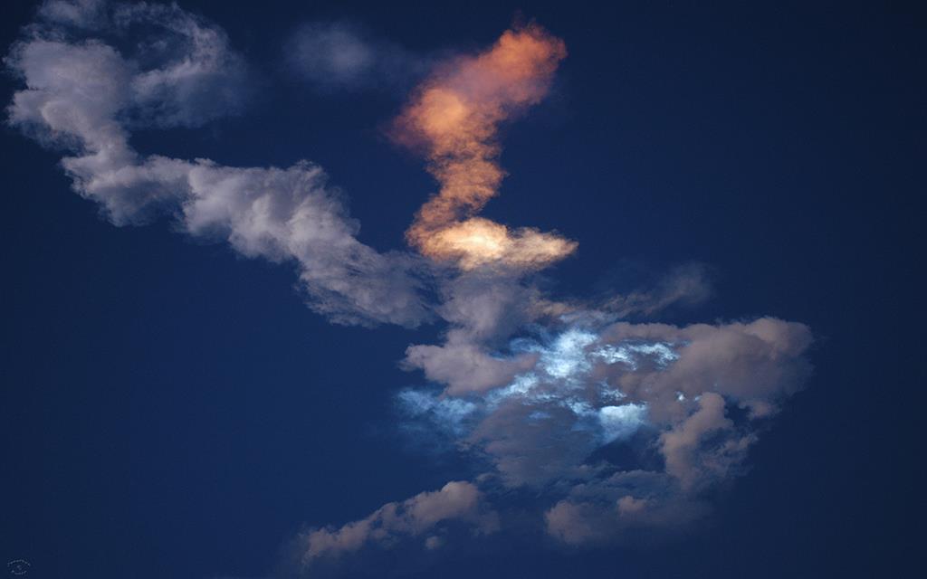 STS-119 Discovery-14 (c) Dana Rodda