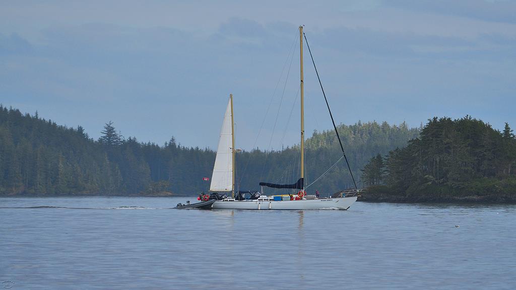 Sail Boat (BC2017)-01