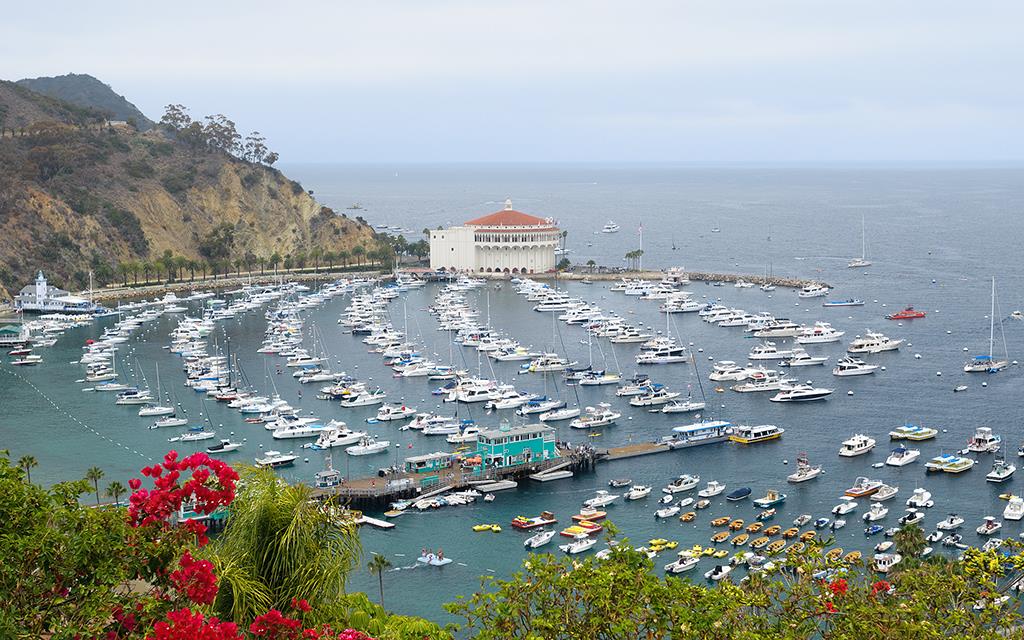 Avalon Bay (Catalina2013)-01
