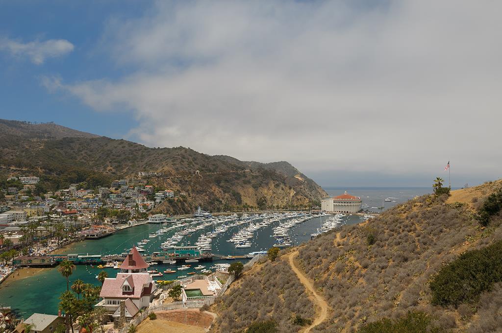 Avalon Bay (Catalina2013)-04