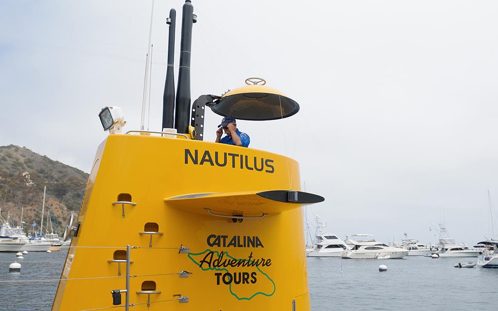 Submarine (Catalina2013)-01