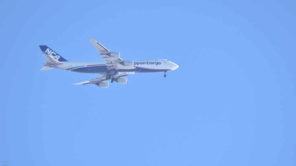 Nippon Air Cargo 101 (Catalina2019)-01