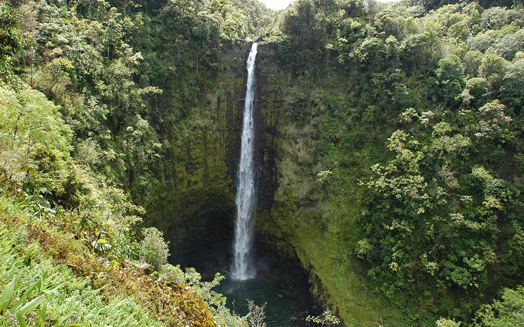 Akaka Falls-01