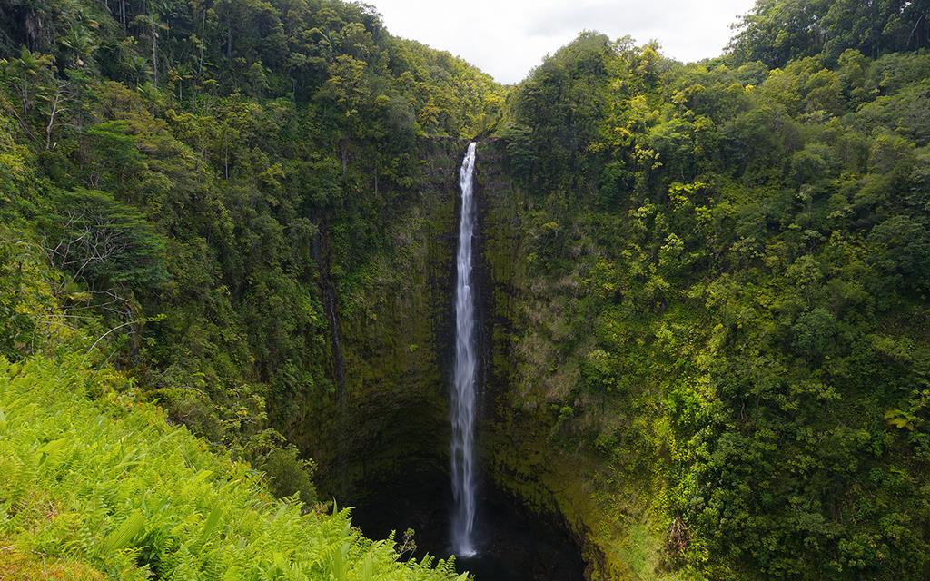 Akaka Falls (BigIsland2013)-01