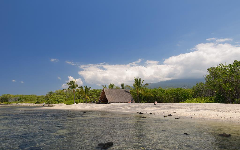 Beach (BigIsland2013)-02