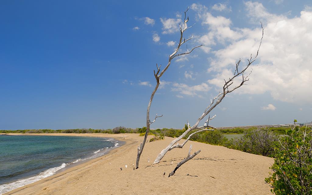 Beach (BigIsland2013)-03