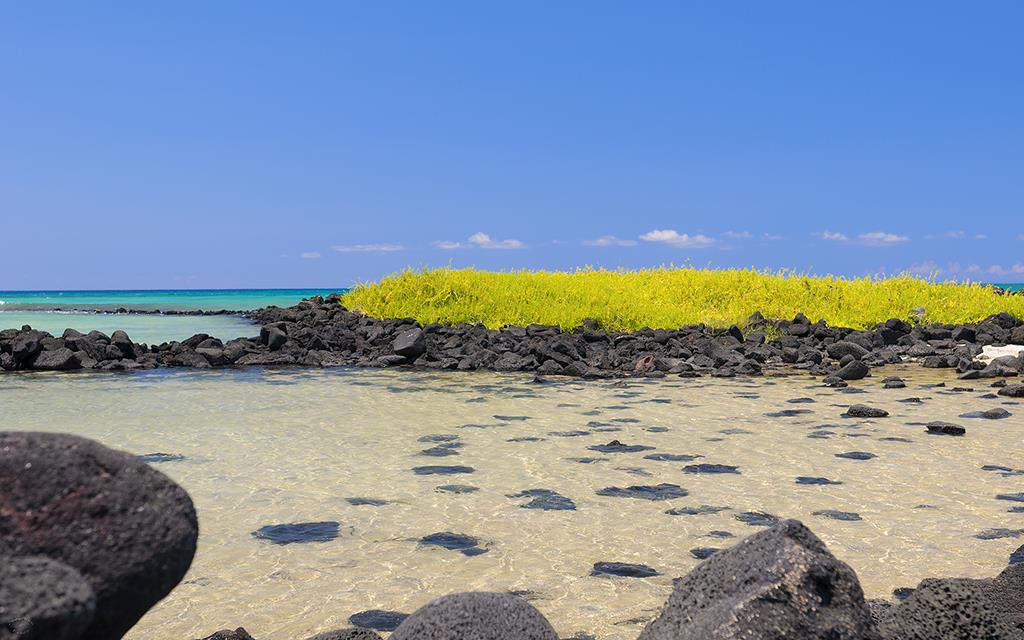 Beach (BigIsland2013)-04