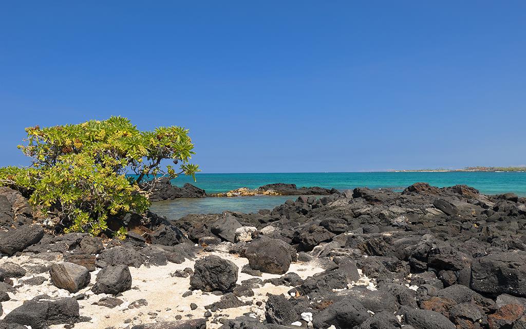 Beach (BigIsland2013)-06