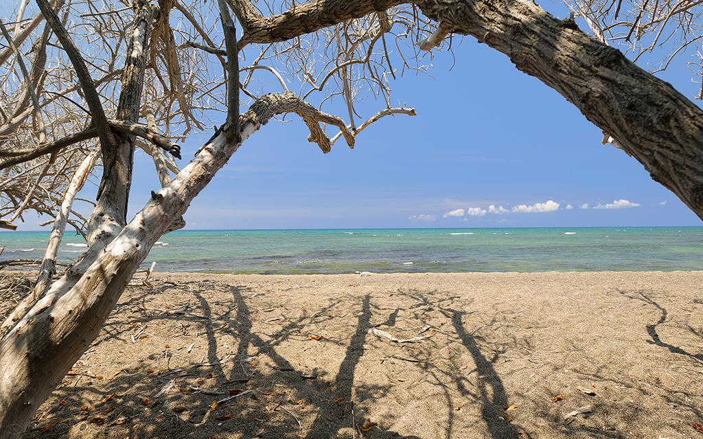 Beach (BigIsland2013)-08