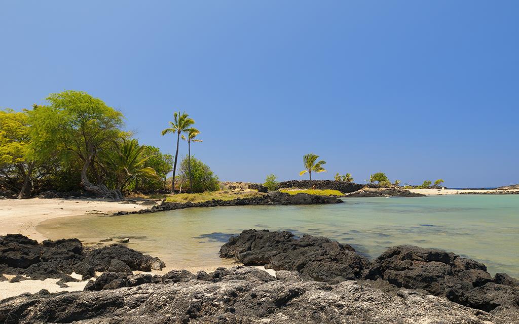 Beach (BigIsland2013)-10