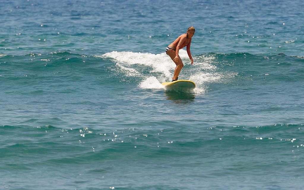 Surfer (BigIsland2013)