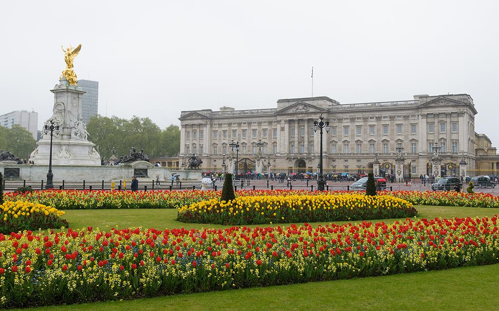 London - Buckingham Palace (UK2014)-01